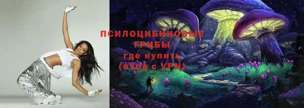 2c-b Елабуга