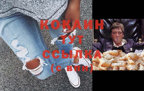 амф Ельня