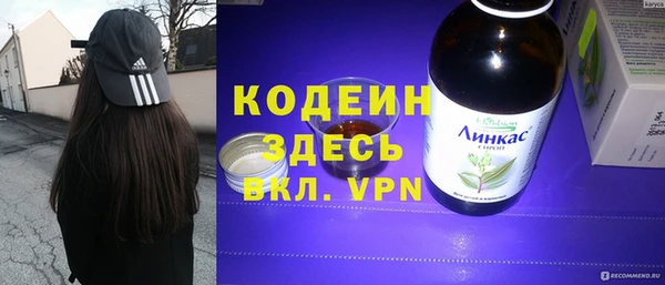 амф Ельня