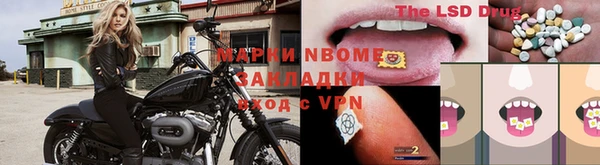 амф Ельня