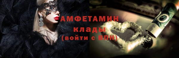 амф Ельня