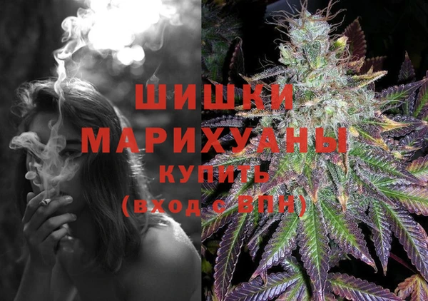 амф Ельня