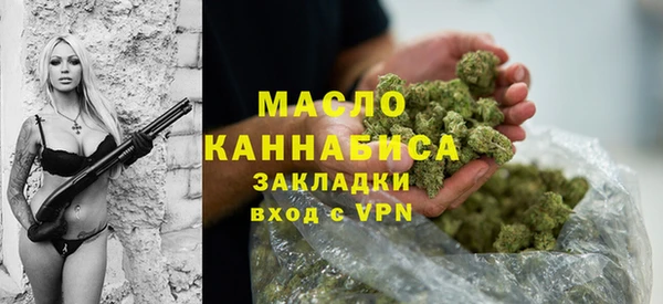 амф Ельня