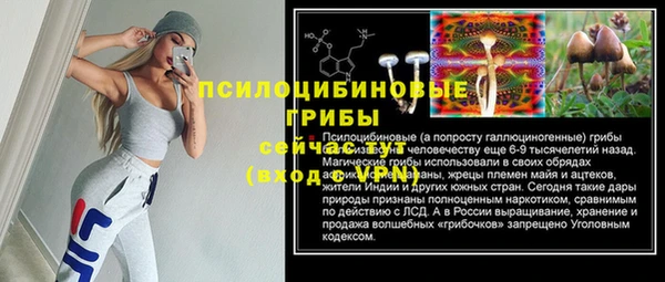 2c-b Елабуга