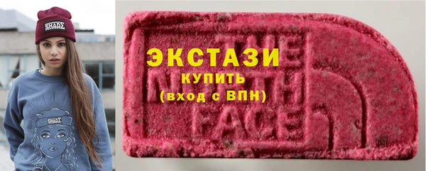 амф Ельня