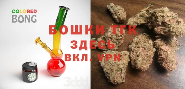 амф Ельня