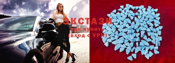 амф Ельня
