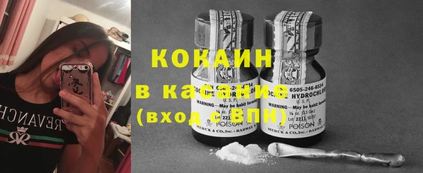амф Ельня