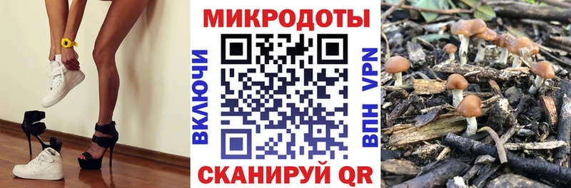 Купить закладки  Усть-Илимск  Галлюциногенные грибы мицелий 